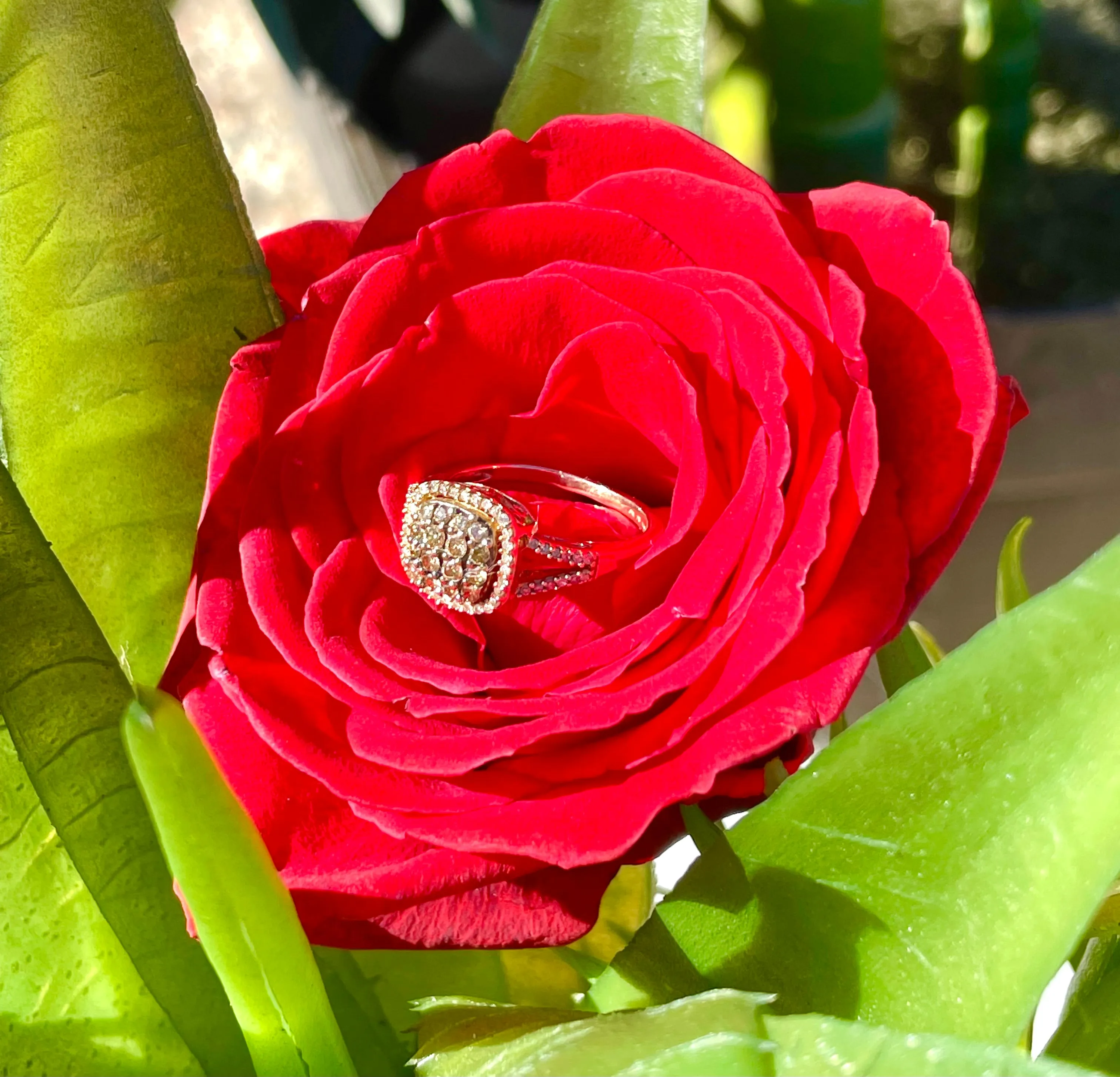 14K Yellow Gold Signed Chocolate Diamond Tested Ring 3.2g Ladies Size 6.25