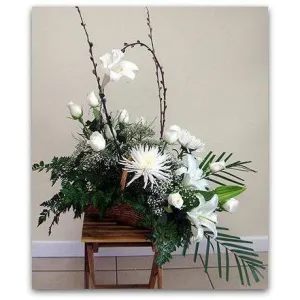 Blanc Chic
