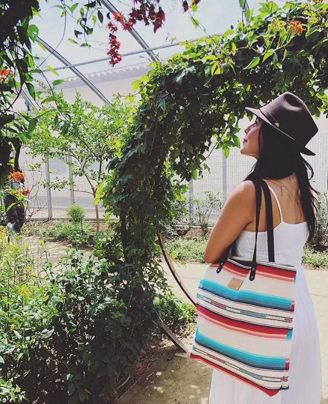 Bright Desert Stripe Feed Bag