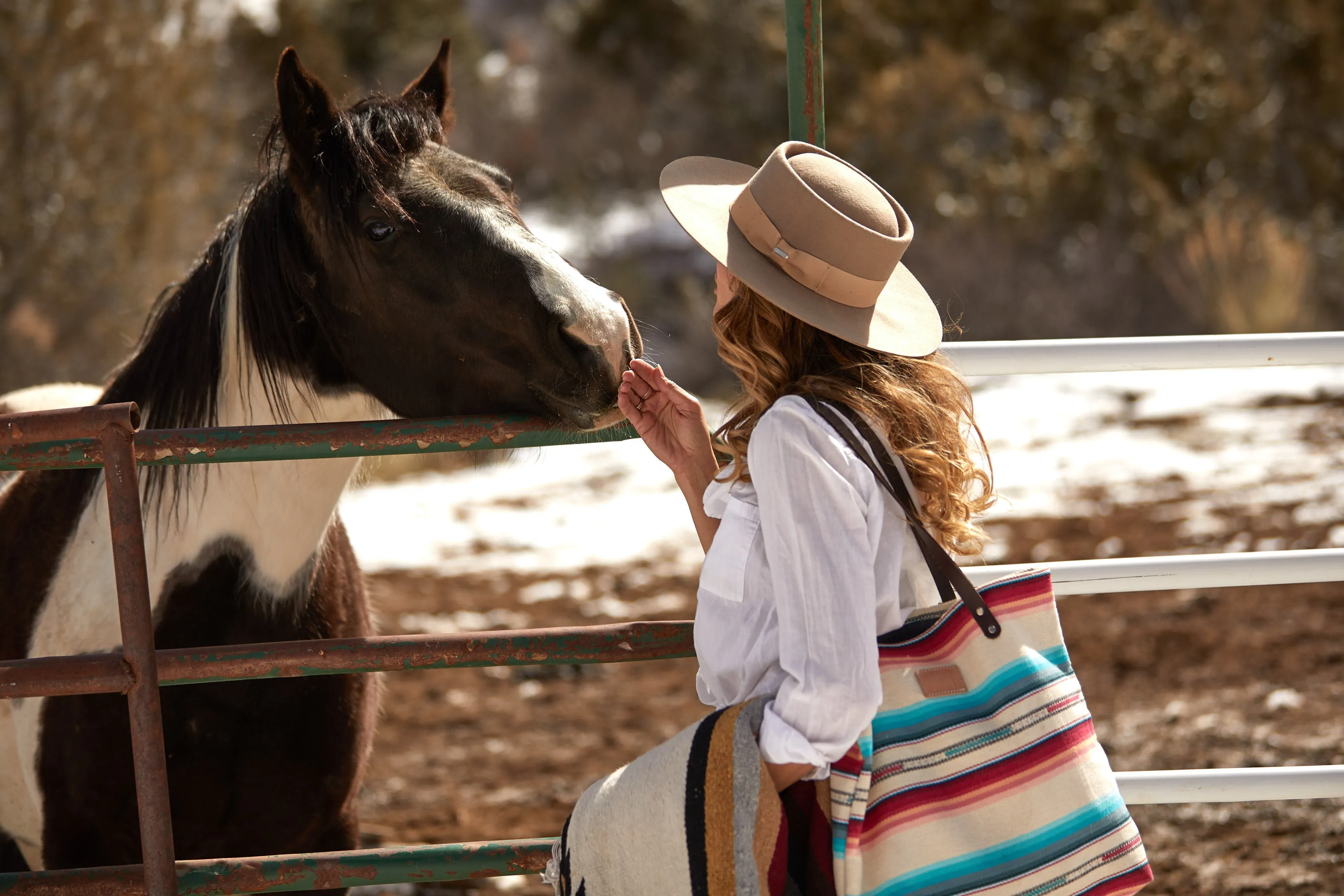 Bright Desert Stripe Feed Bag