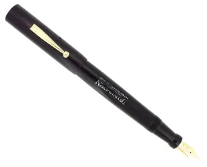 C1924 DUNN CAMEL OVERSIZE FOUNTAIN PEN RED CASEIN PUMP HANDLE RESTORED
