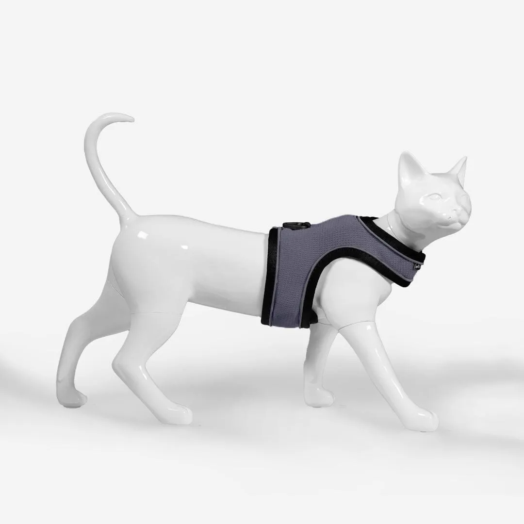 Cat Harness & Leash Kit