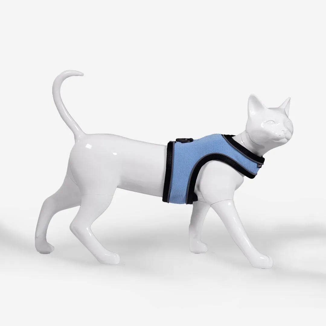 Cat Harness & Leash Kit