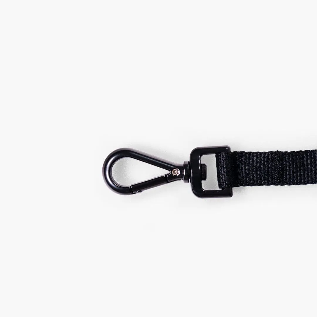 Cat Harness & Leash Kit
