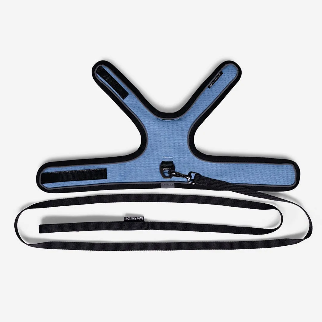 Cat Harness & Leash Kit