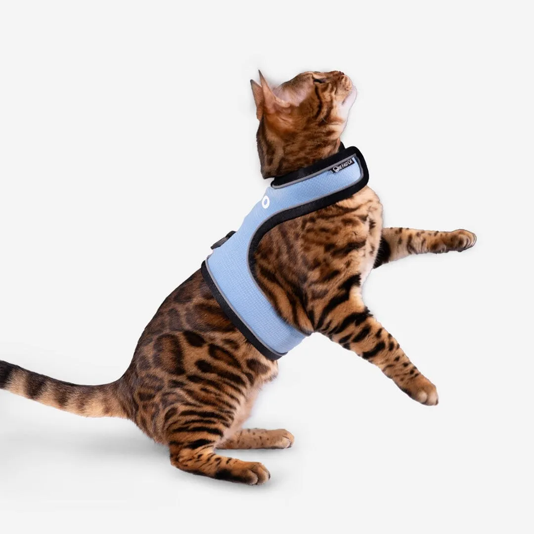 Cat Harness & Leash Kit