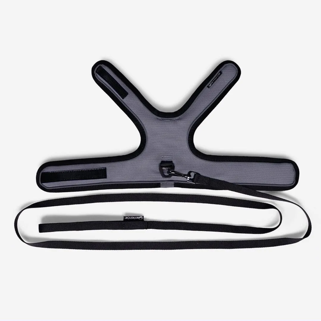 Cat Harness & Leash Kit