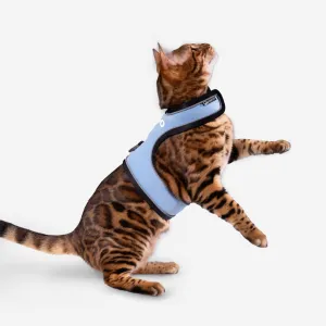 Cat Harness & Leash Kit