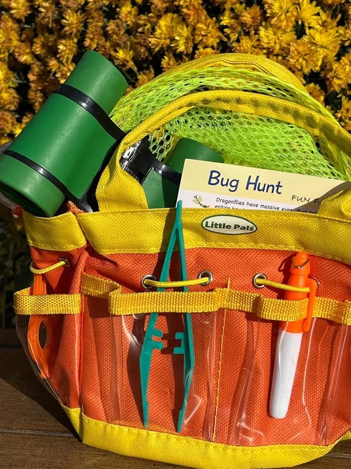 Children's Insect Observation Kit