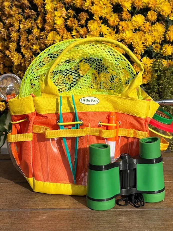 Children's Insect Observation Kit