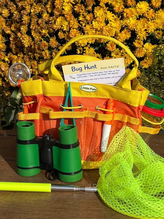 Children's Insect Observation Kit