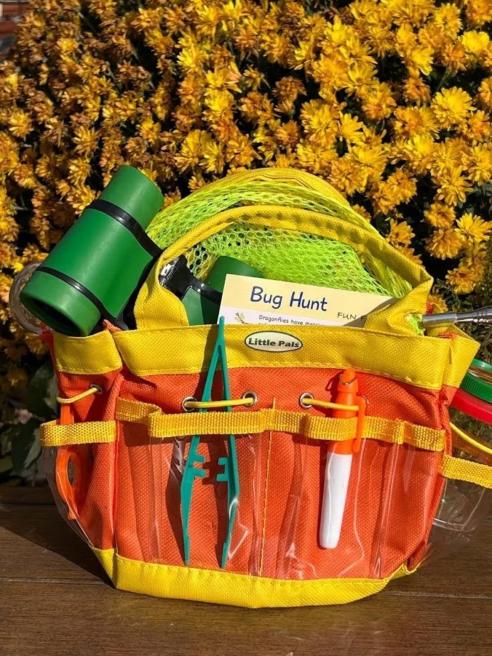 Children's Insect Observation Kit