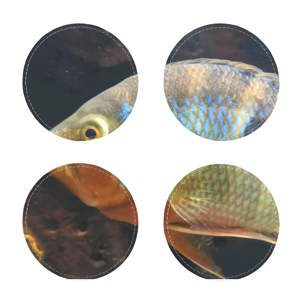 Colorful Fish Sublimation Coasters Pack of Four