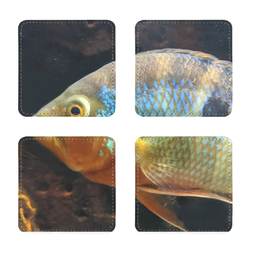 Colorful Fish Sublimation Coasters Pack of Four