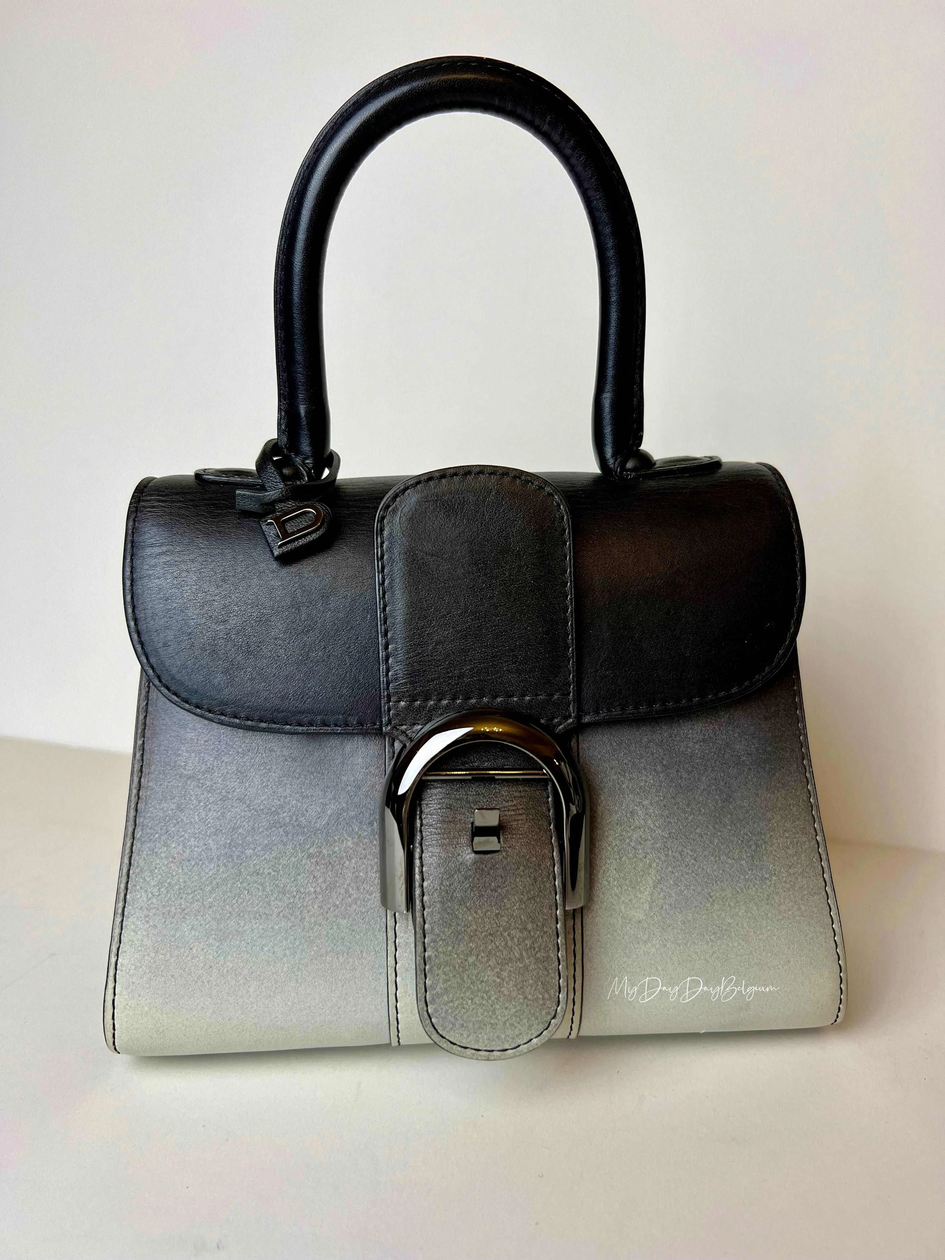 Delvaux Brillant mini “Nuance” 2017