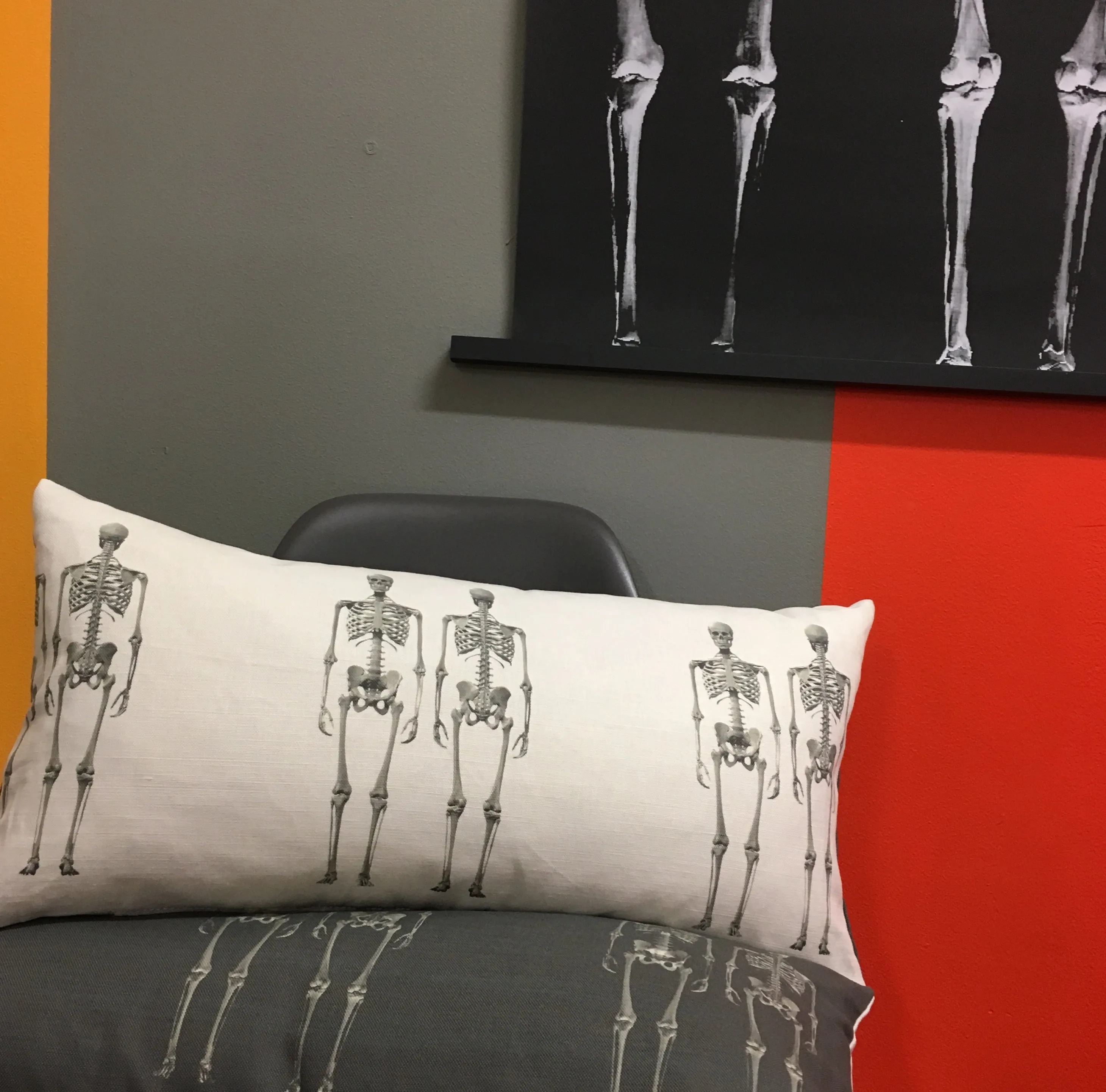 Dem Bones Cushion