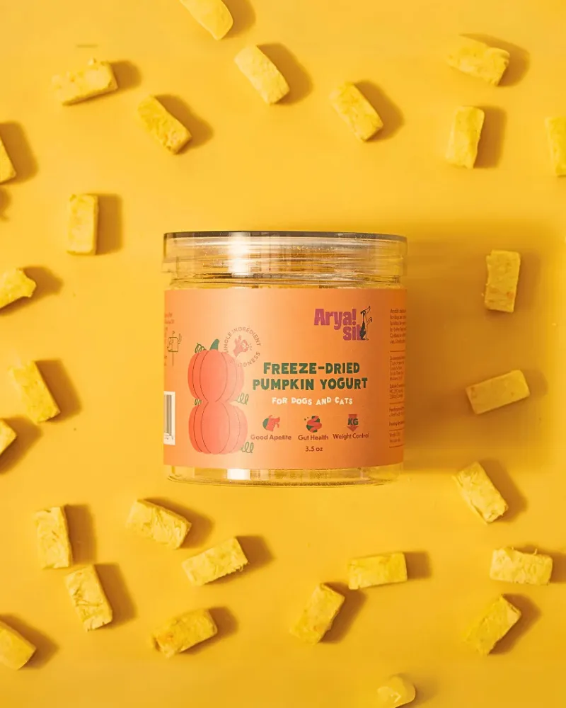 Freeze-Dried Pumpkin Yogurt Treats For Dogs & Cats