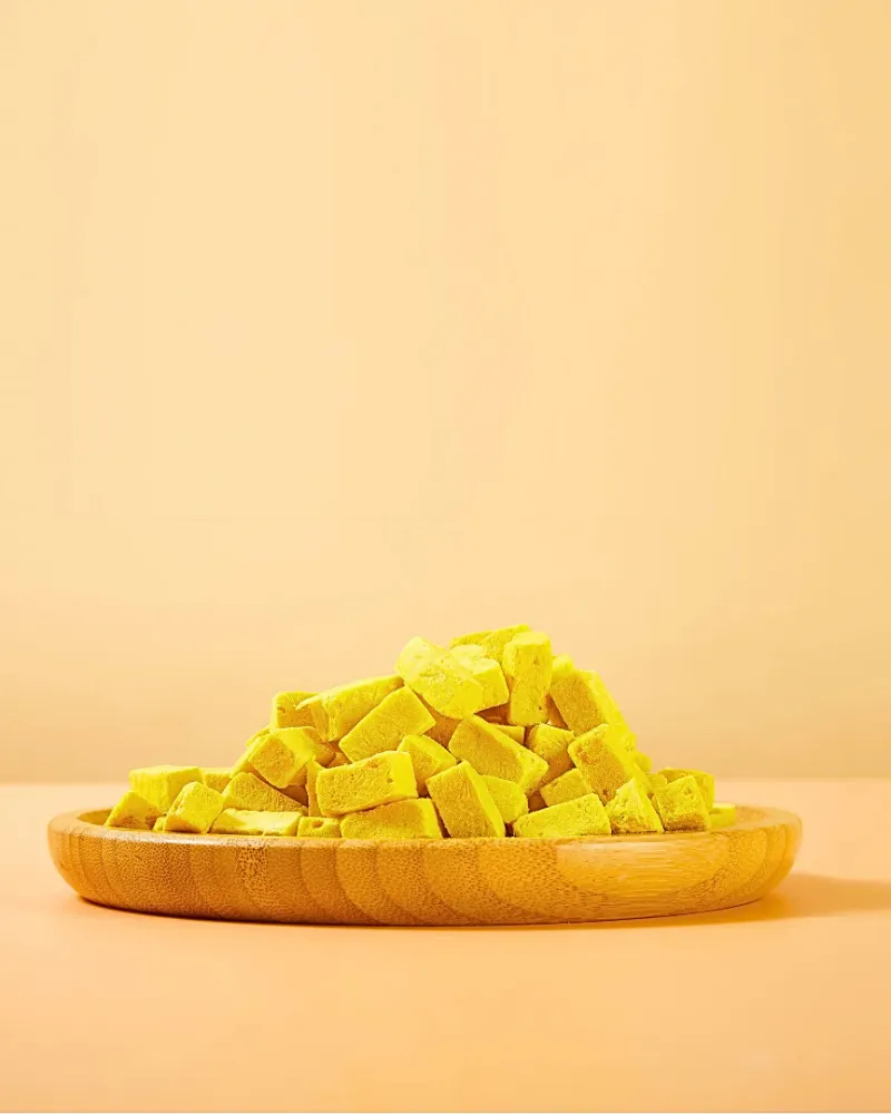 Freeze-Dried Pumpkin Yogurt Treats For Dogs & Cats