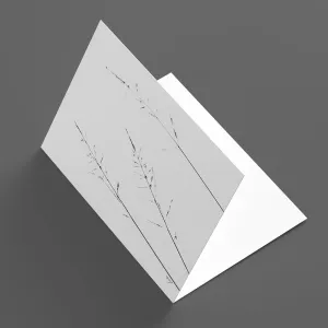 Gift Card - Fine