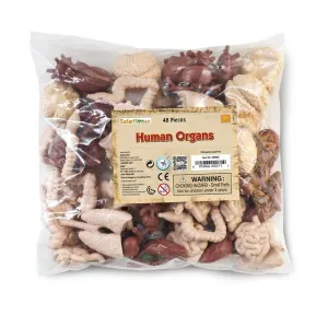 Human Organs Bulk Bag Figures Safari Ltd