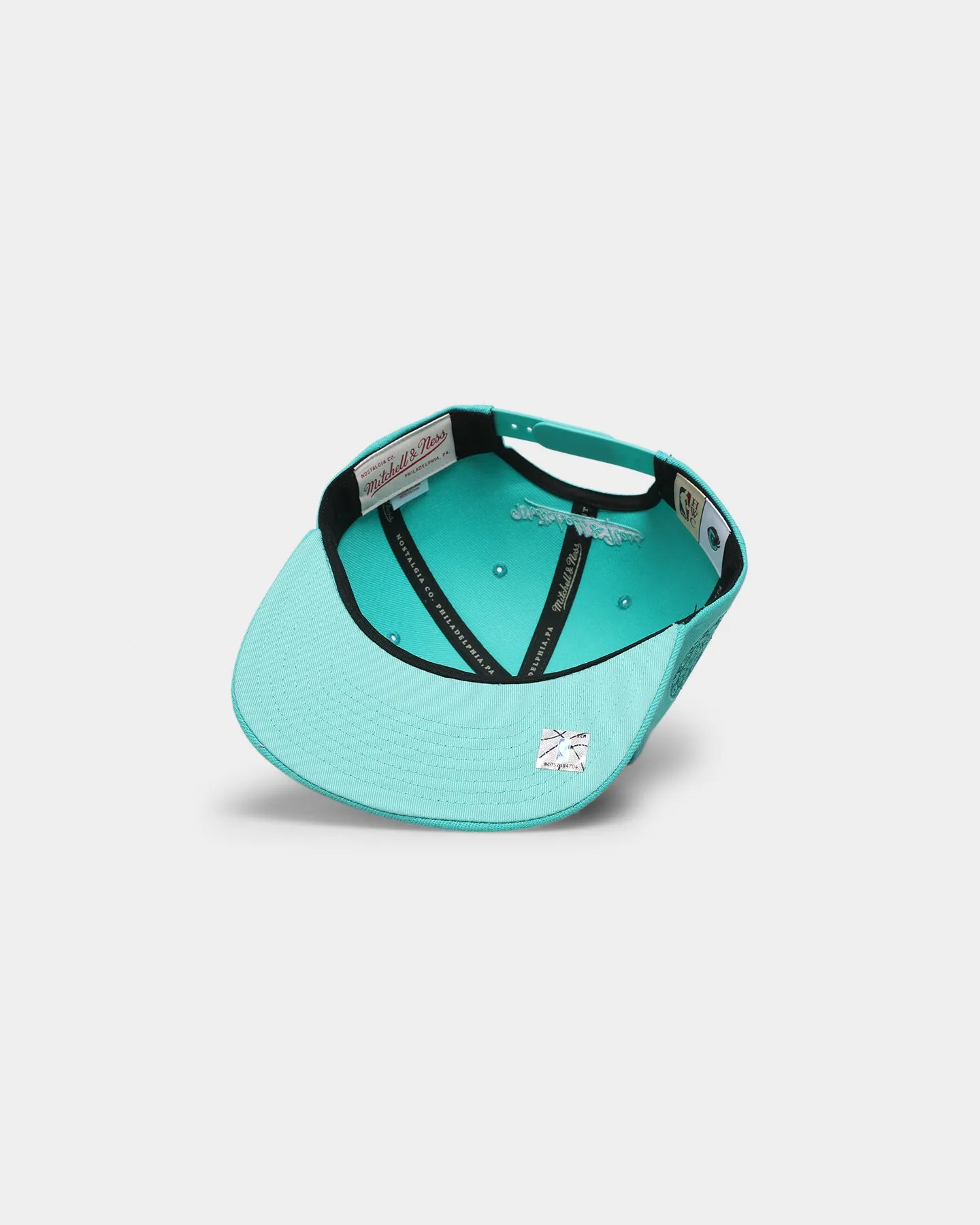 Mitchell & Ness Memphis Grizzlies 'Monochrome' Original Fit Snapback Teal