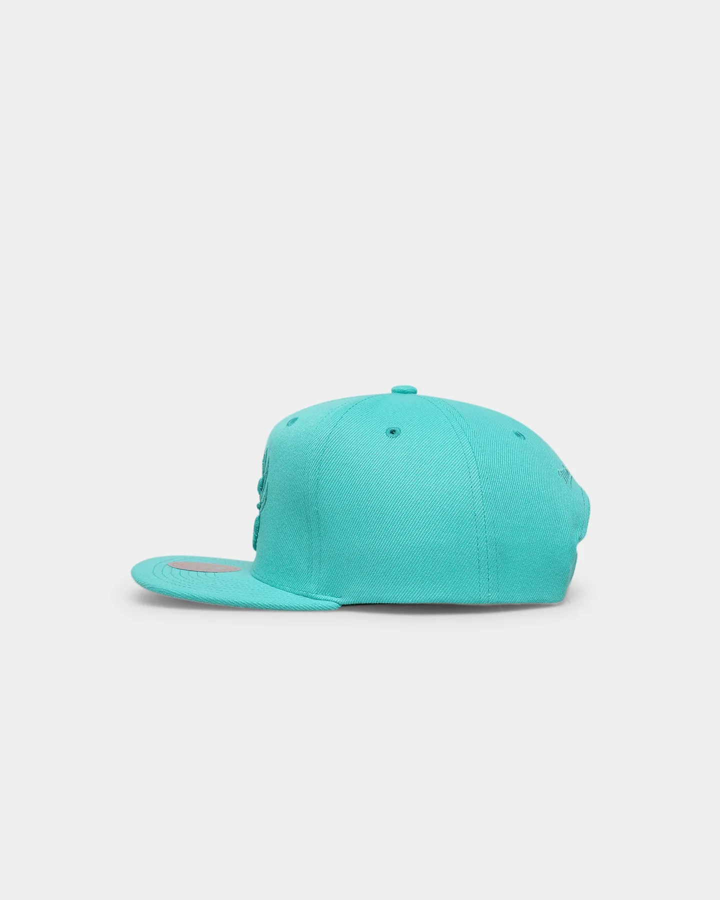 Mitchell & Ness Memphis Grizzlies 'Monochrome' Original Fit Snapback Teal