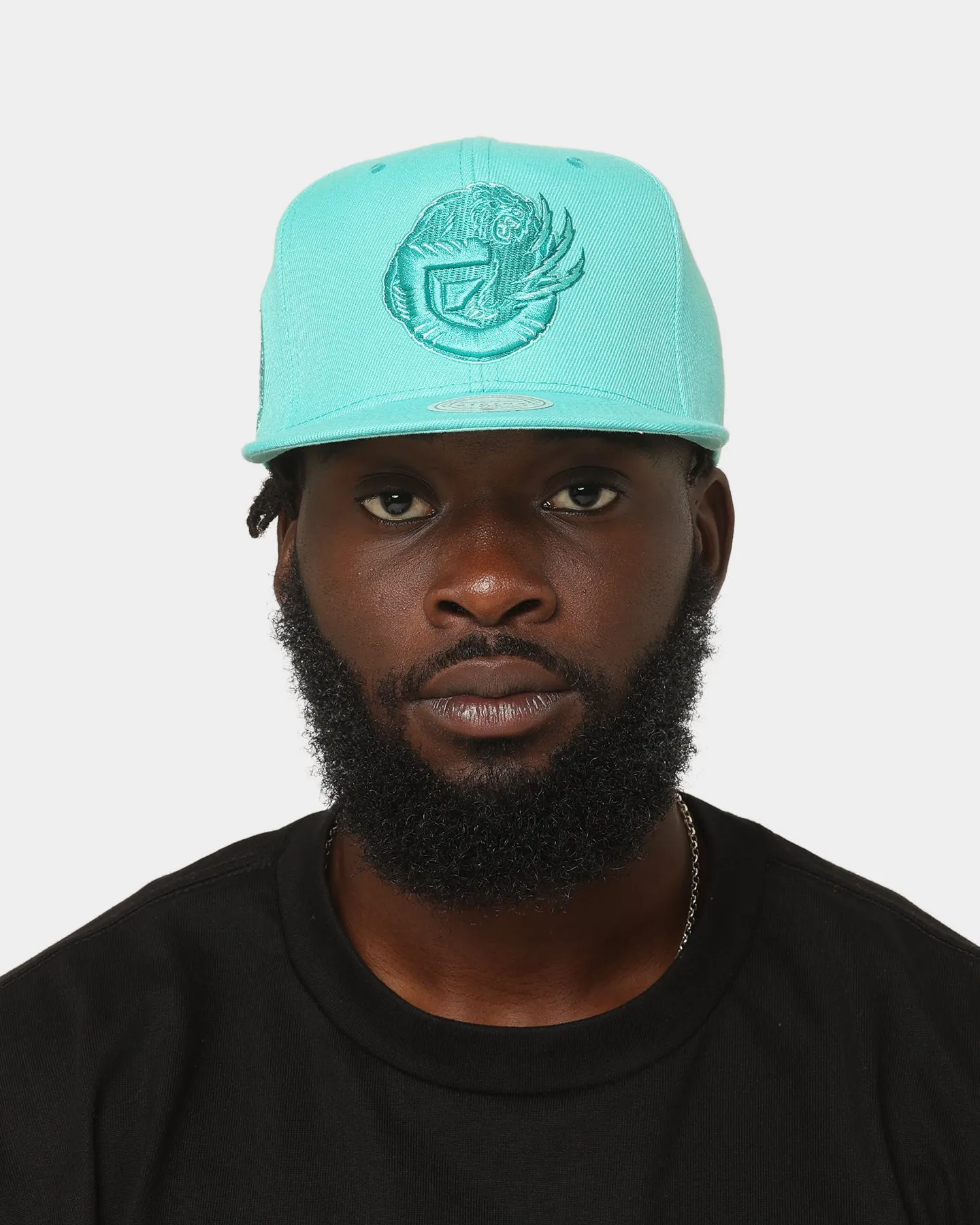 Mitchell & Ness Memphis Grizzlies 'Monochrome' Original Fit Snapback Teal