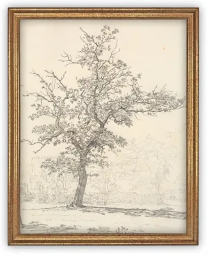 Monochrome Tree, three sizes
