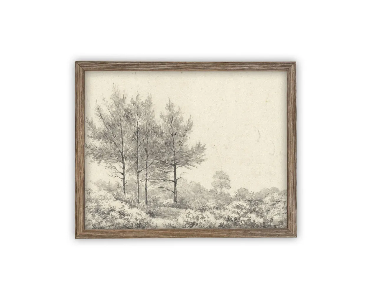 Monochrome Woods