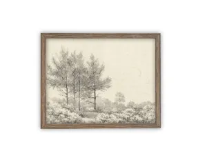Monochrome Woods