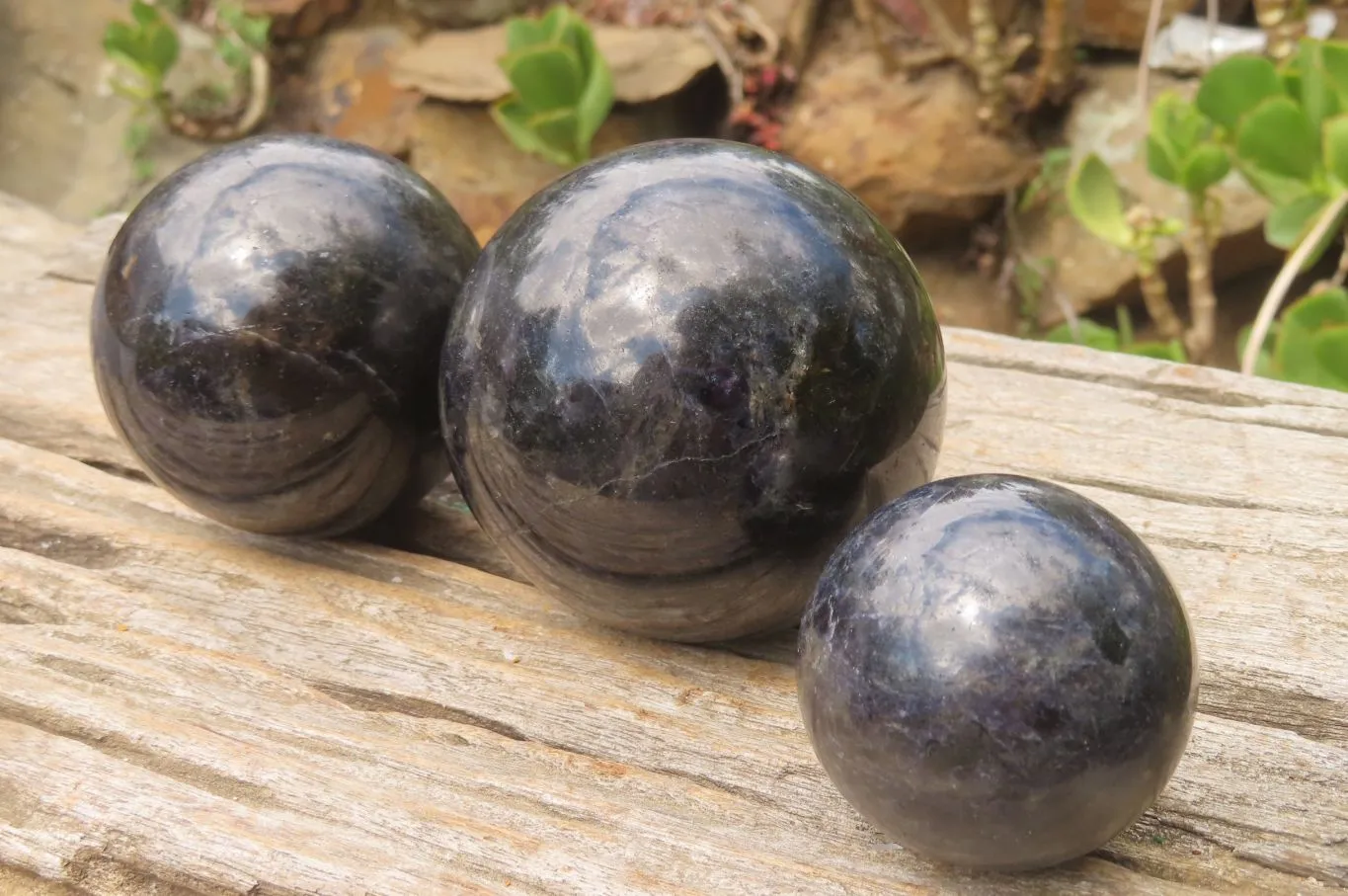 Polished Iolite Spheres x 3 From Ambatofinandrahana, Madagascar