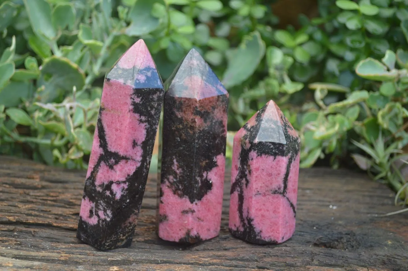 Polished Pink Rhodonite Points x 3 From Madagascar