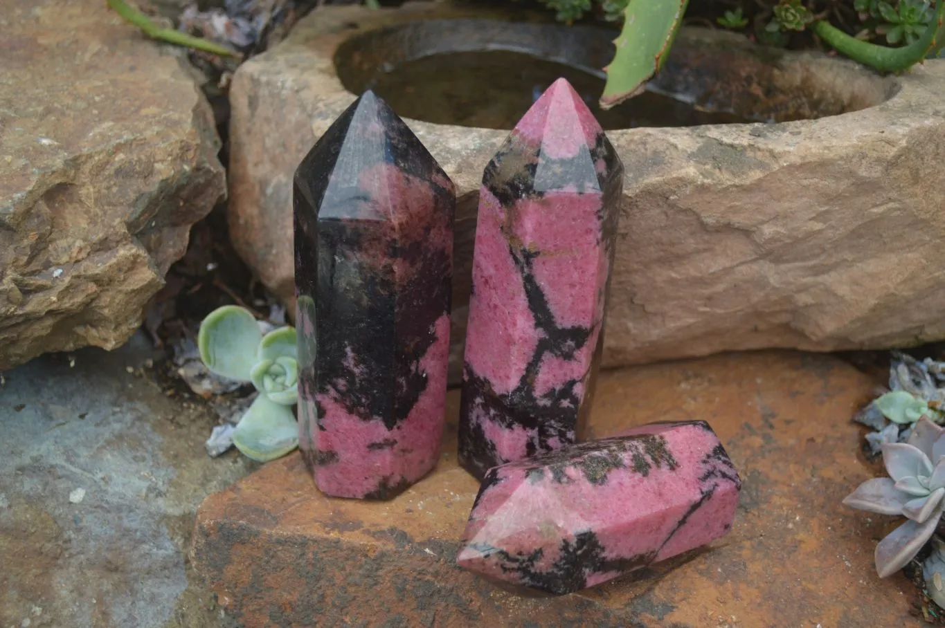 Polished Pink Rhodonite Points x 3 From Madagascar