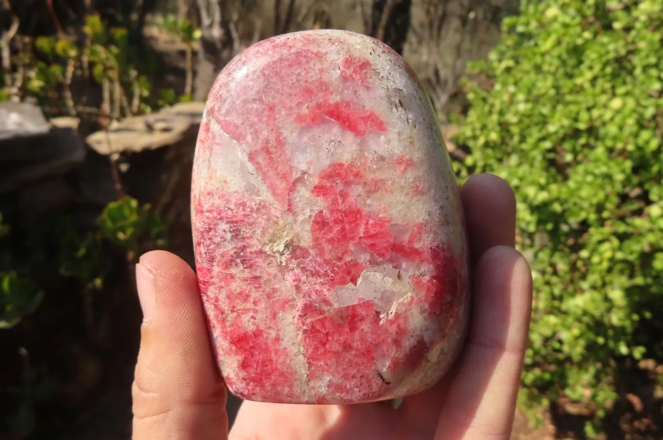 Polished Red Rhodonite Free Forms x 6 From Ambindavato, Madagascar