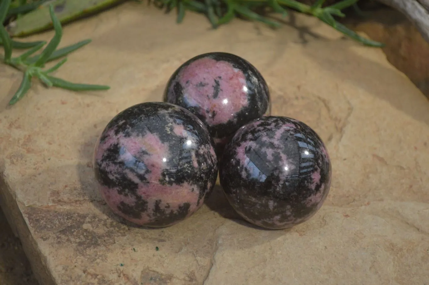 Polished Rhodonite Spheres  x 4 From Ambindavato, Madagascar