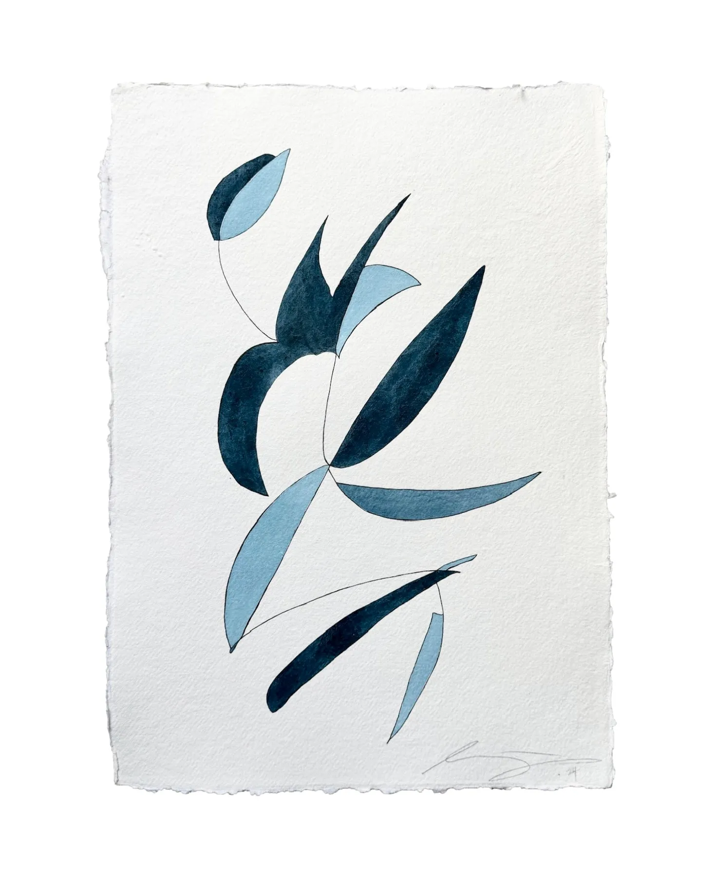 "Indigo Bloom 113"