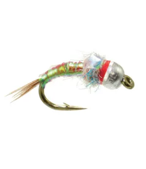 Rainbow Warrior Egan's Tungsten 2 Pack