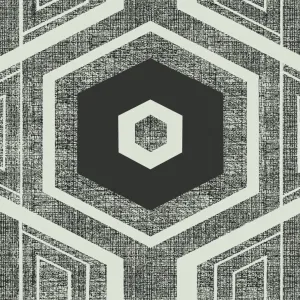Retro Textured Polygon. Monochrome
