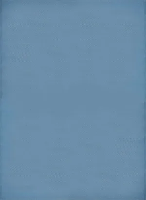 Urban Outdoor Rug Blue | 1000