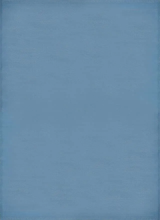 Urban Outdoor Rug Blue | 1000