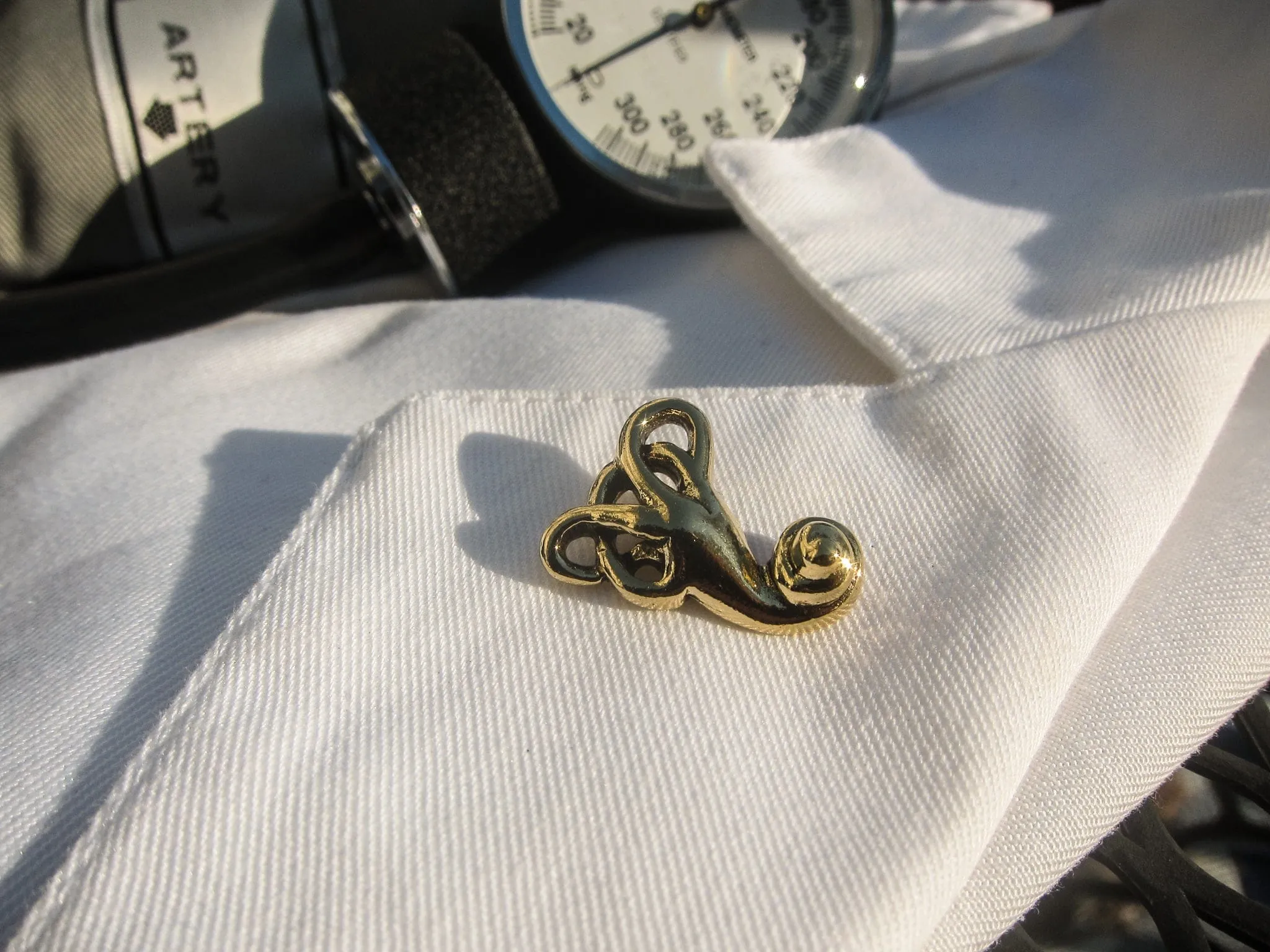 Vestibular System Gold Lapel Pin