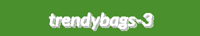 TrendyBags | Luxury & Fashionable Accessories